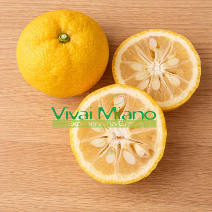 Yuzu - Citron Japonais (pot - 20)