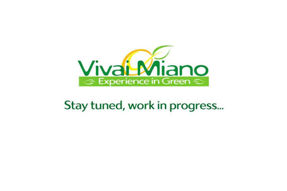 Plant de Finger Lime Eremorange (Buisson - pot 35)